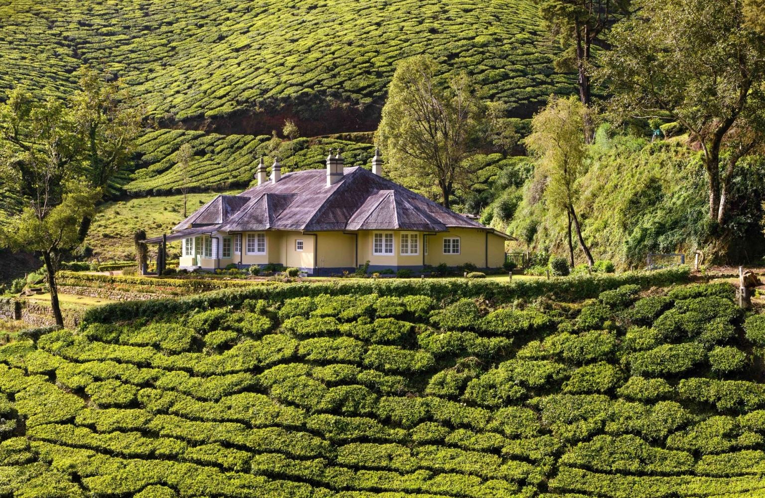 AMA STAYS & TRAILS SHOLAMALLAY BUNGALOW MUNNAR